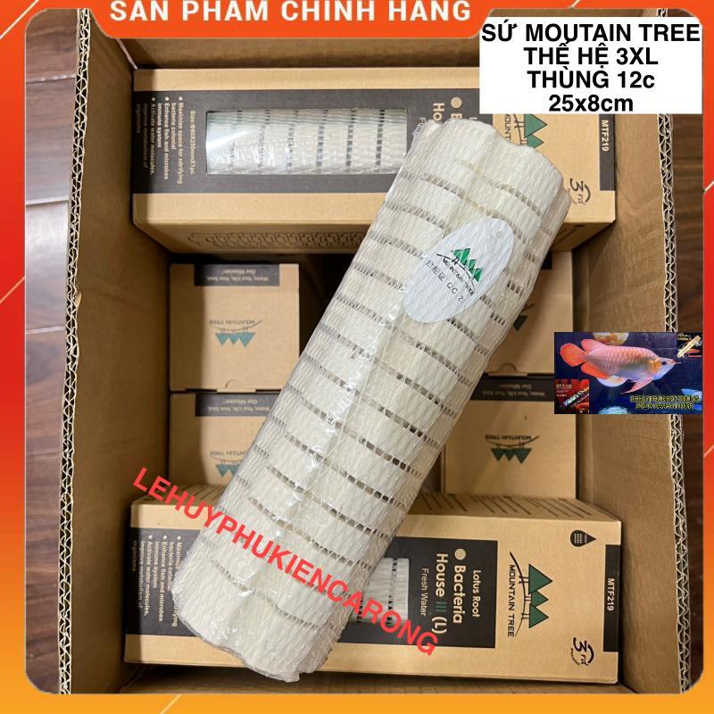 Sứ Củ Sen Thế Hệ 3 Mountain Tree - Size 25cm x 8cm