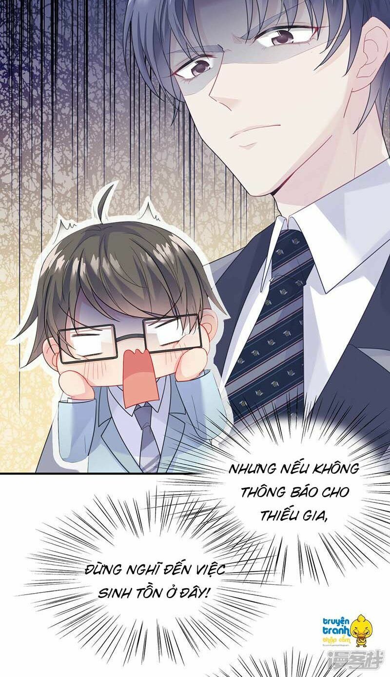 chọc tới chủ tịch tổng tài 2 chapter 87 18