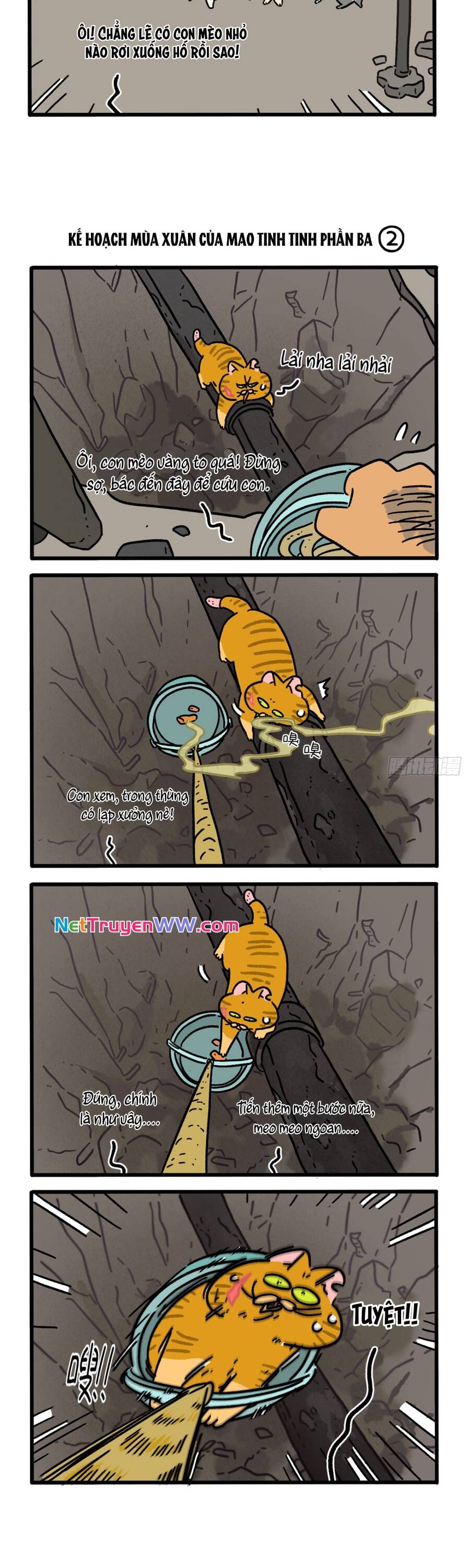 a mãn và mạch trà chapter 158 3