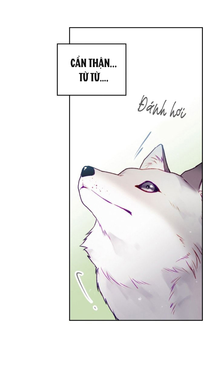 kết thúc của nhân vật phản diện chỉ có thể là cái chết chapter 67 19