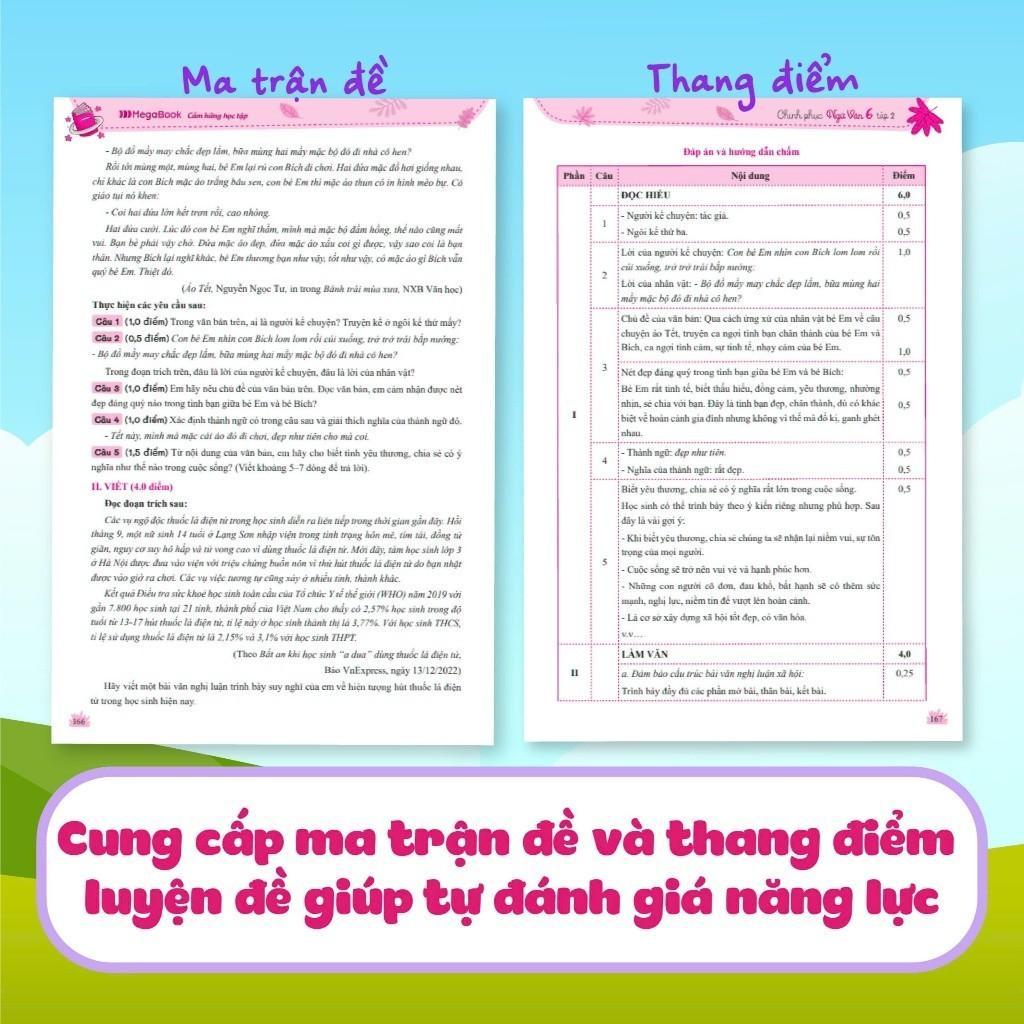 Sách Chinh Phục Ngữ Văn - Kỹ Năng Đọc Hiểu Và Viết Theo Các Thể Loại Lớp 6 Tập 2 - Megabook