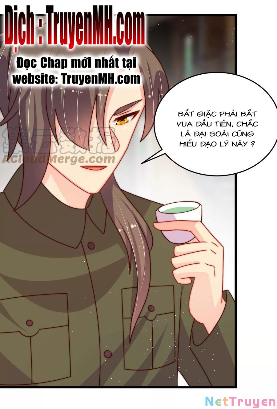 ngày nào thiếu soái cũng ghen chapter 489 1