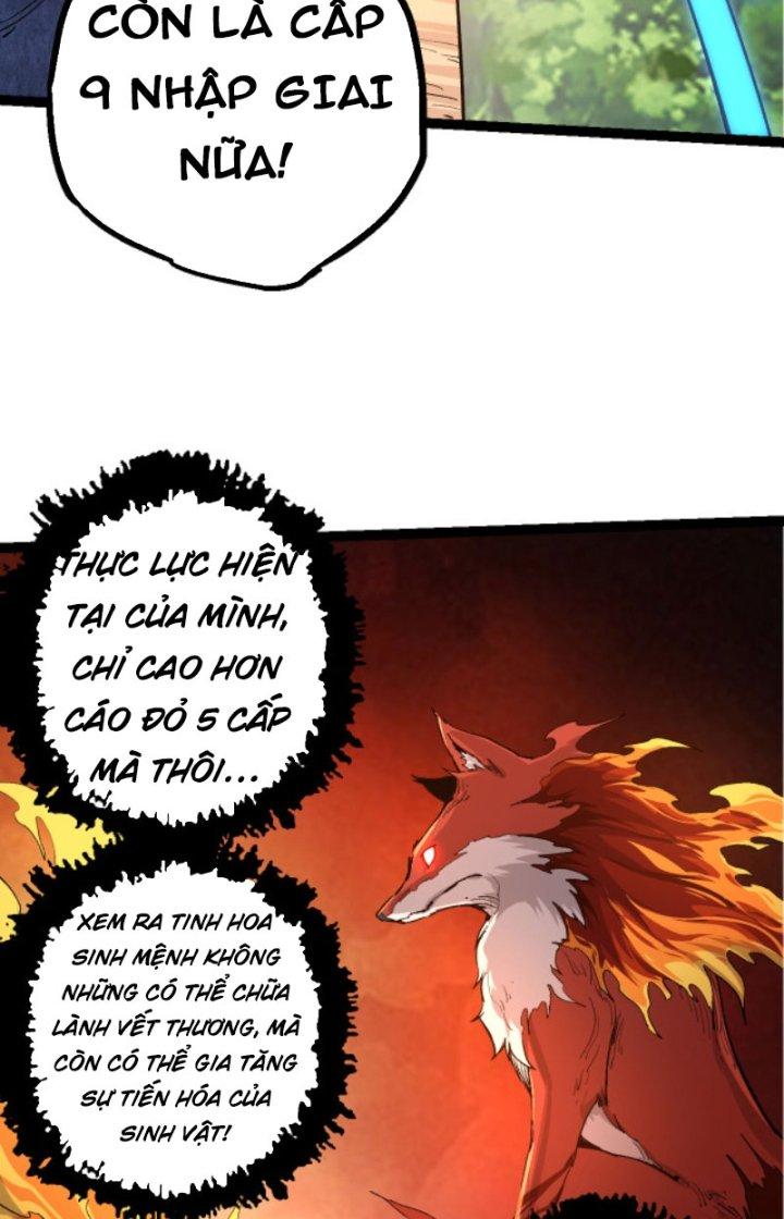 từ cây cổ thụ bắt đầu tiến hóa chapter 3 35