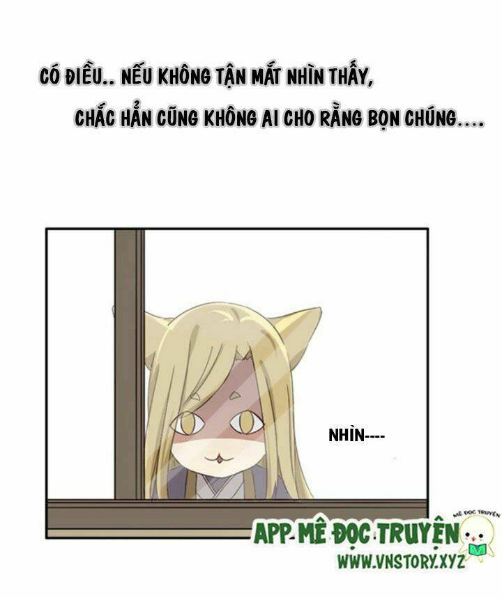 hồ tiên này không tin được chapter 1 4