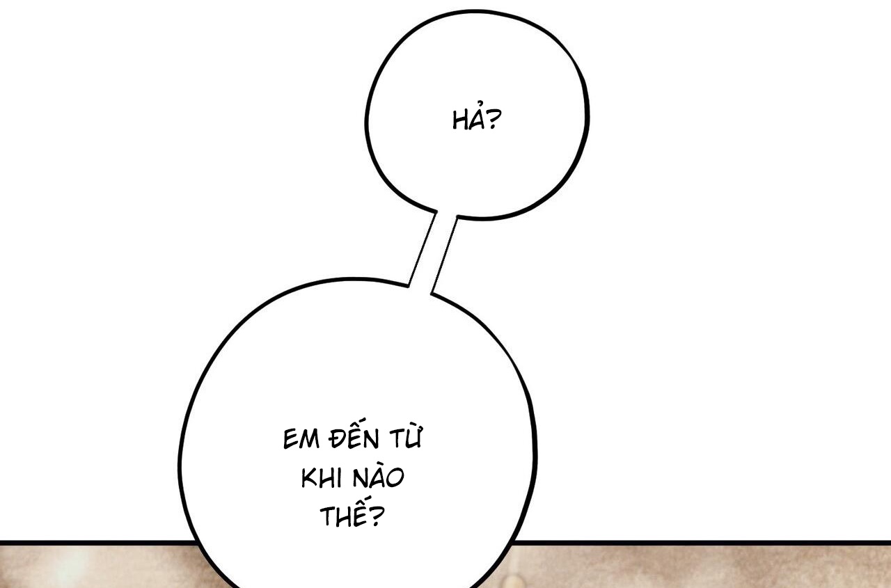 chàng dâu nhà họ kang chapter 43 194