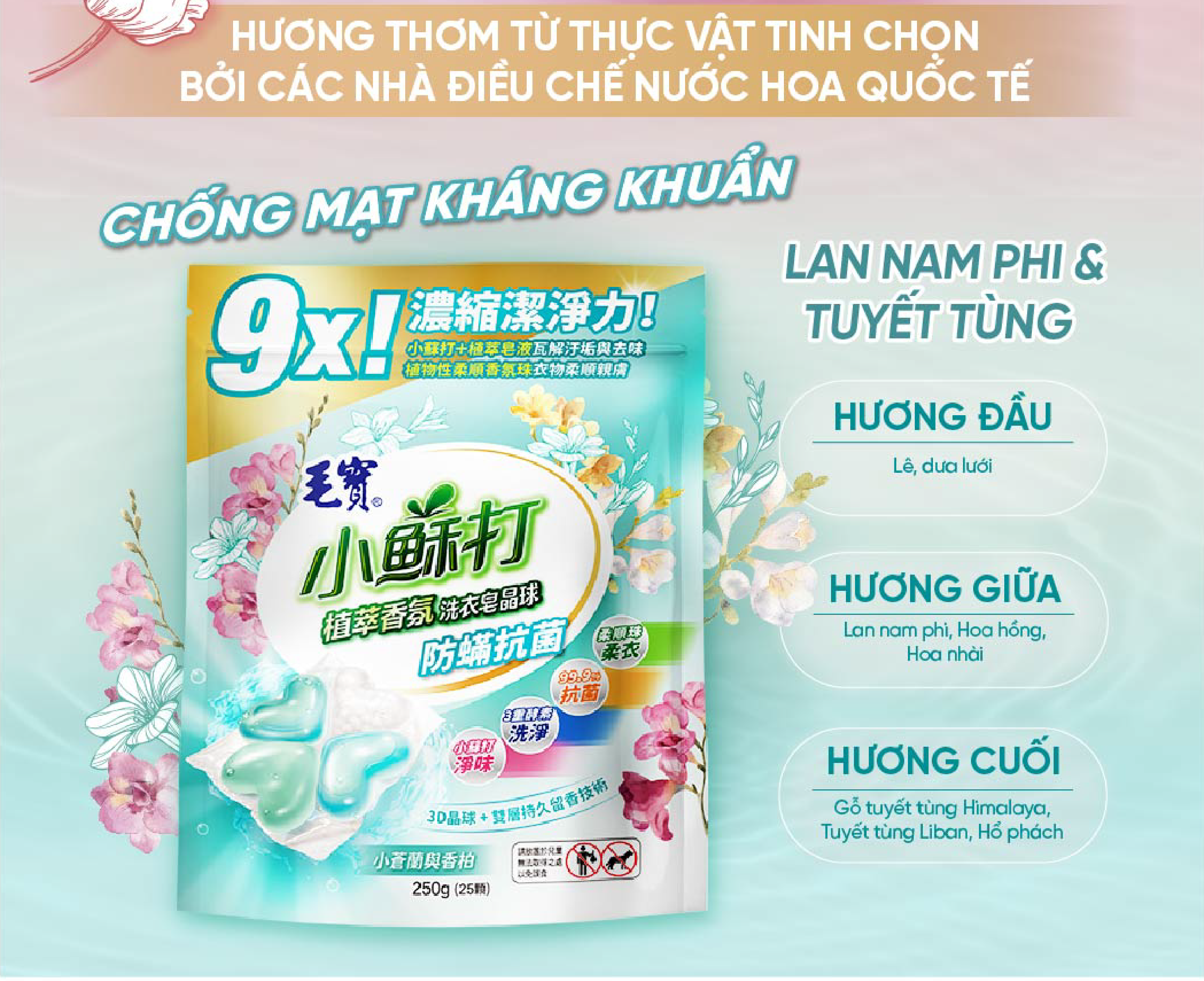 Combo 2 Túi Viên giặt xả Mao Bao - Chống mạt và kháng khuẩn 10g*25 viên (Hương lan nam phi và tuyết tùng)