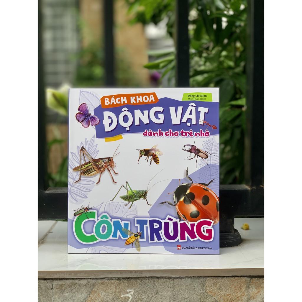 Bách Khoa Động Vật Dành Cho Trẻ Nhỏ - Côn Trùng