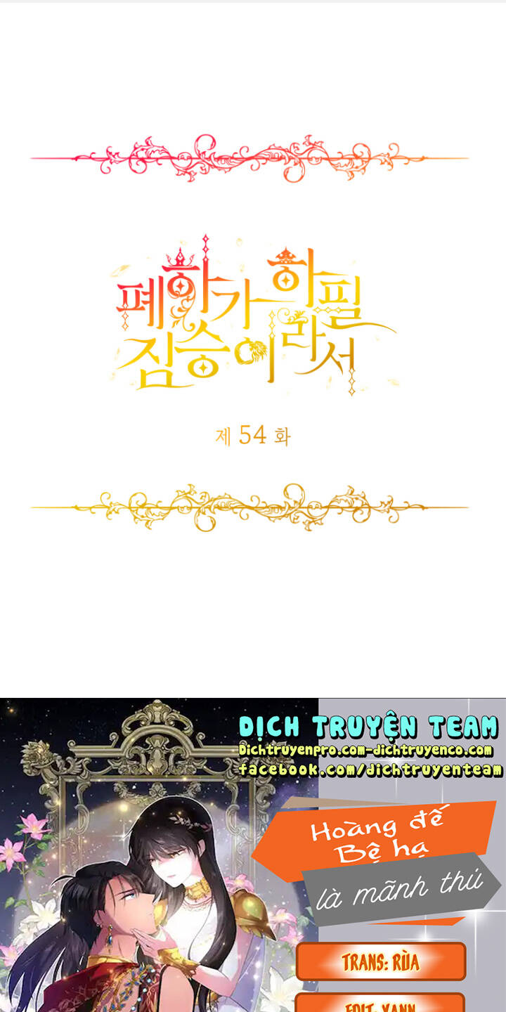 hoàng đế bệ hạ là mãnh thú chapter 54 1
