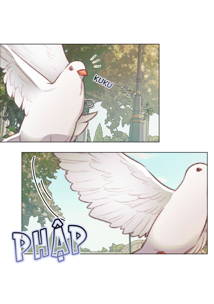 trở thành cô vợ khế ước của nhân vật phản diện chapter 20 16