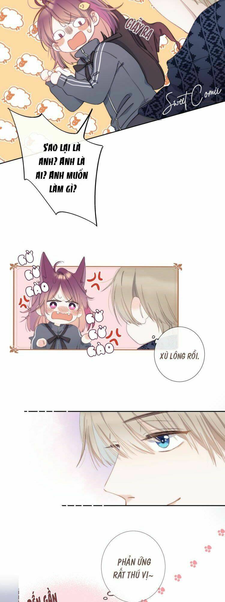 you're the apple of my eyes chapter 5 18