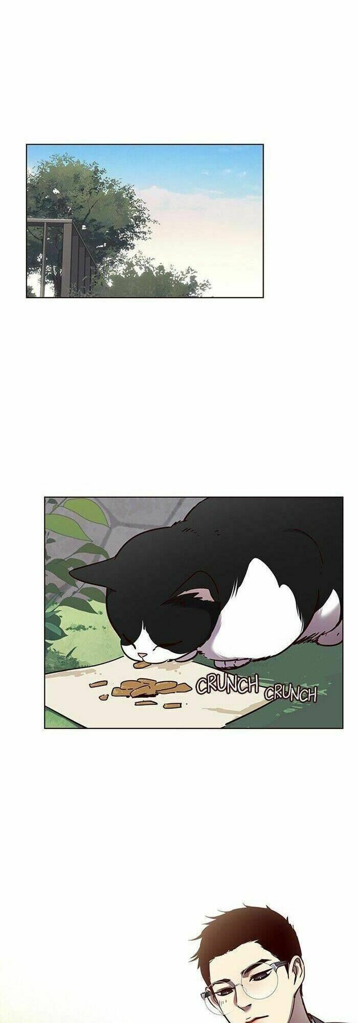 biến thân thành mèo chapter 57 12