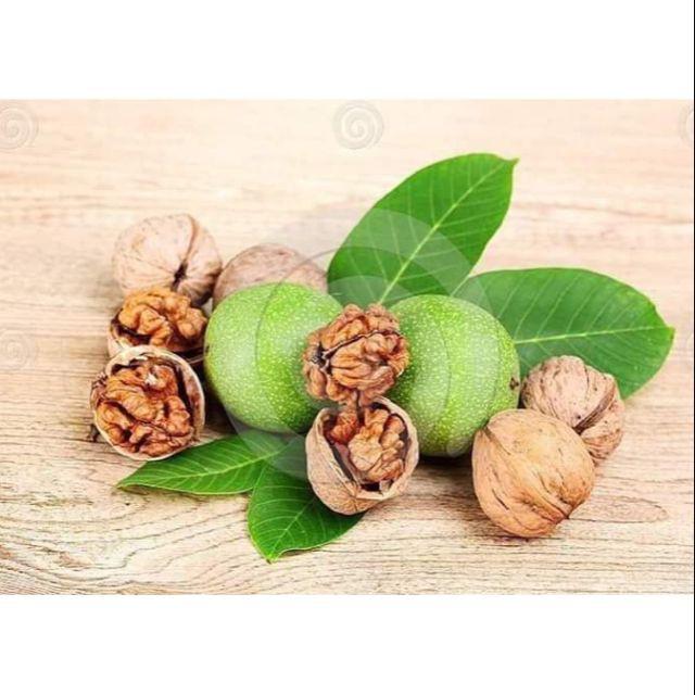 Cây Óc Chó tặng 2 cây chè xanh