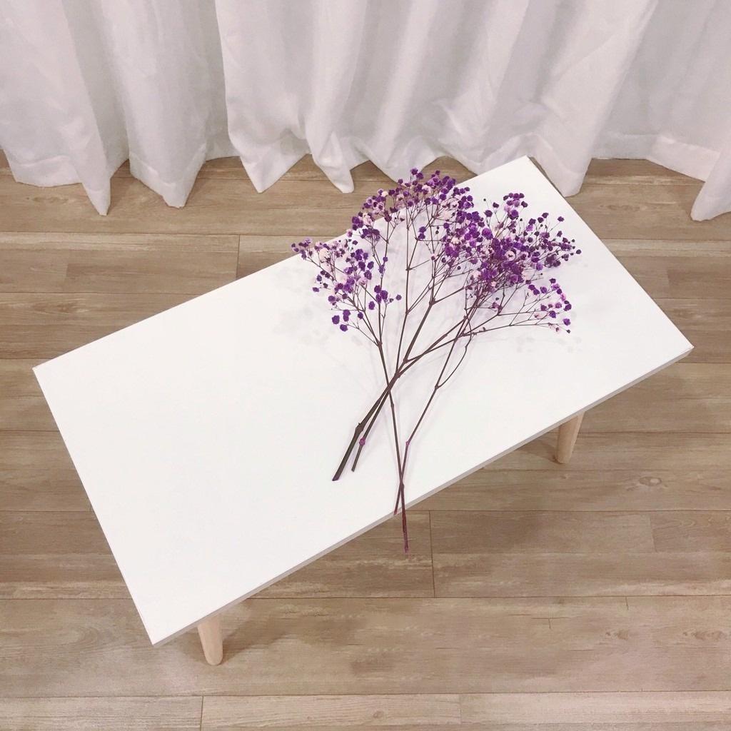 Bàn trà, Bàn Cafe, Bàn ngồi bệt hình chữ nhật size 60x40cm cao cấp màu trắng chân gỗ, hiện đại, giá tốt