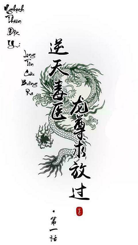 nghịch thiên độc y: long tôn cầu buông ra chapter 2 1