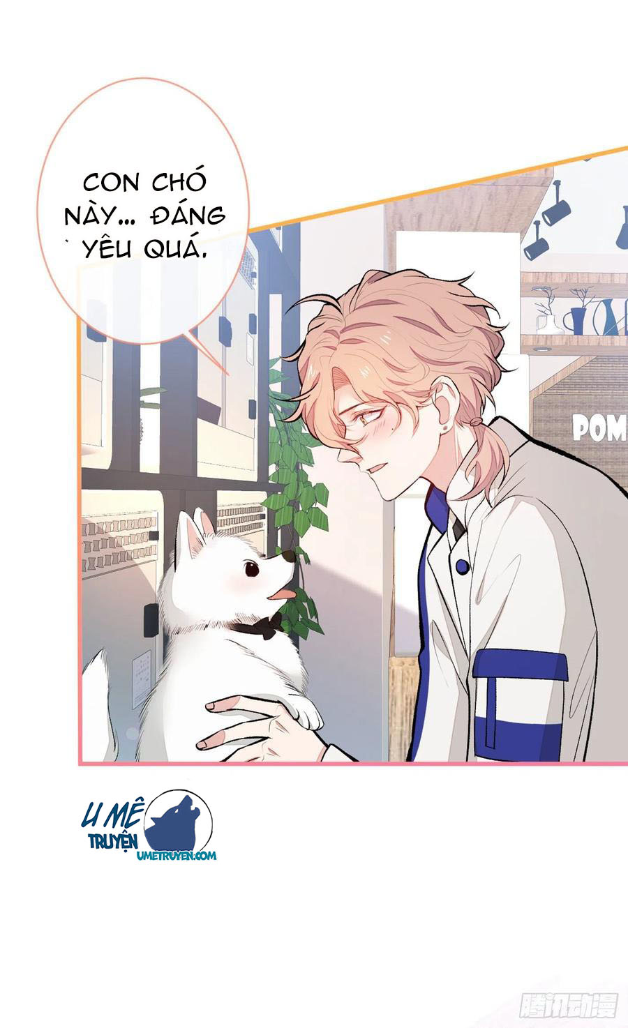 lại bị nam thần chọc trên hot search! chapter 54 10