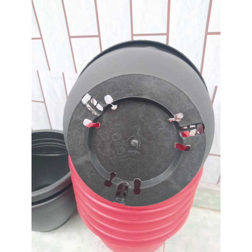 COMBO 5 Chậu Nơ Trồng Hoa Trồng Rau, Cây Cảnh HOLO-GREEN