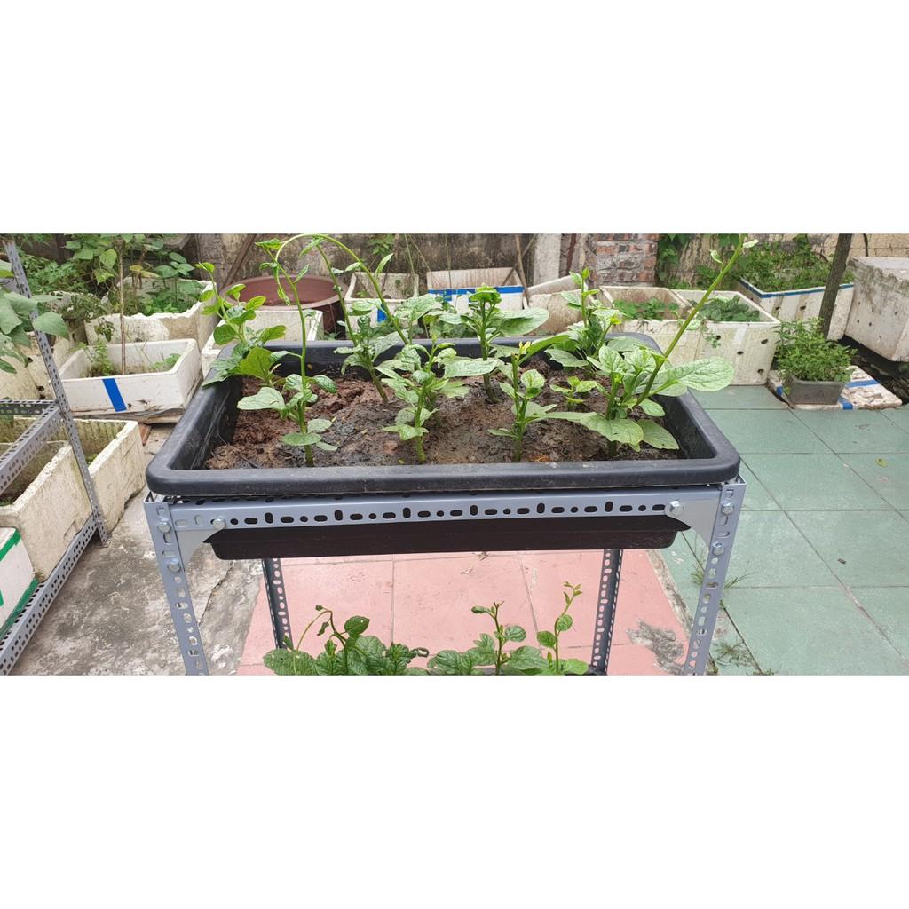 Kệ sắt trồng rau thông minh 2 tầng dùng cho 2 khay trồng rau kích cỡ 68x43x15 cm
