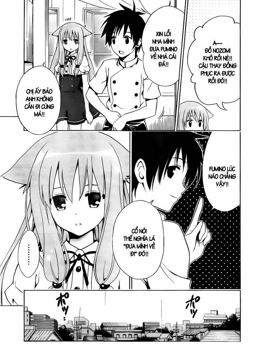 mayoi neko overrun! chapter 1 41