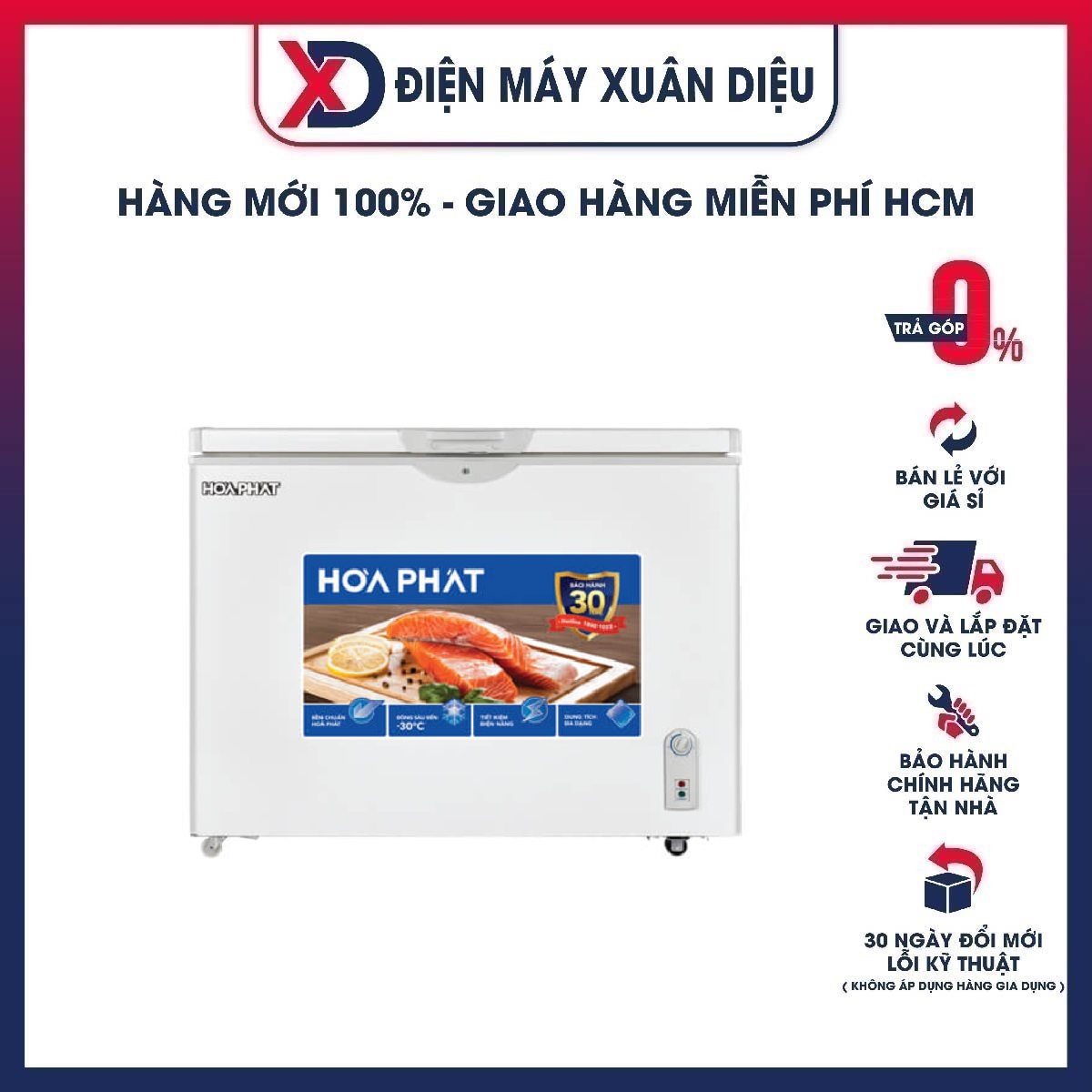 Tủ Đông Hòa Phát 252 Lít HPF AN6252 1 cửa - Hàng Chính Hãng (Chỉ Giao HCM)