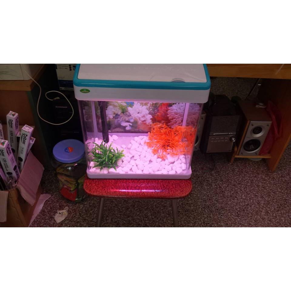 Bộ bể MJ-360