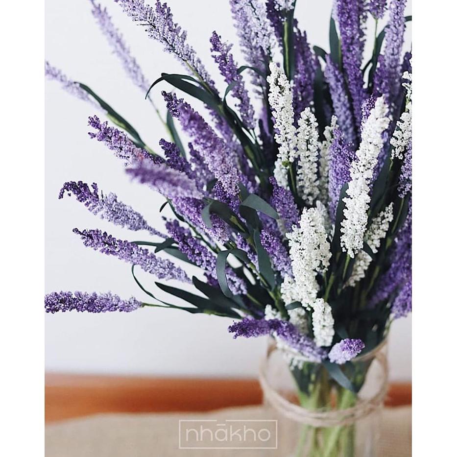 HOA LAVENDER GIẢ