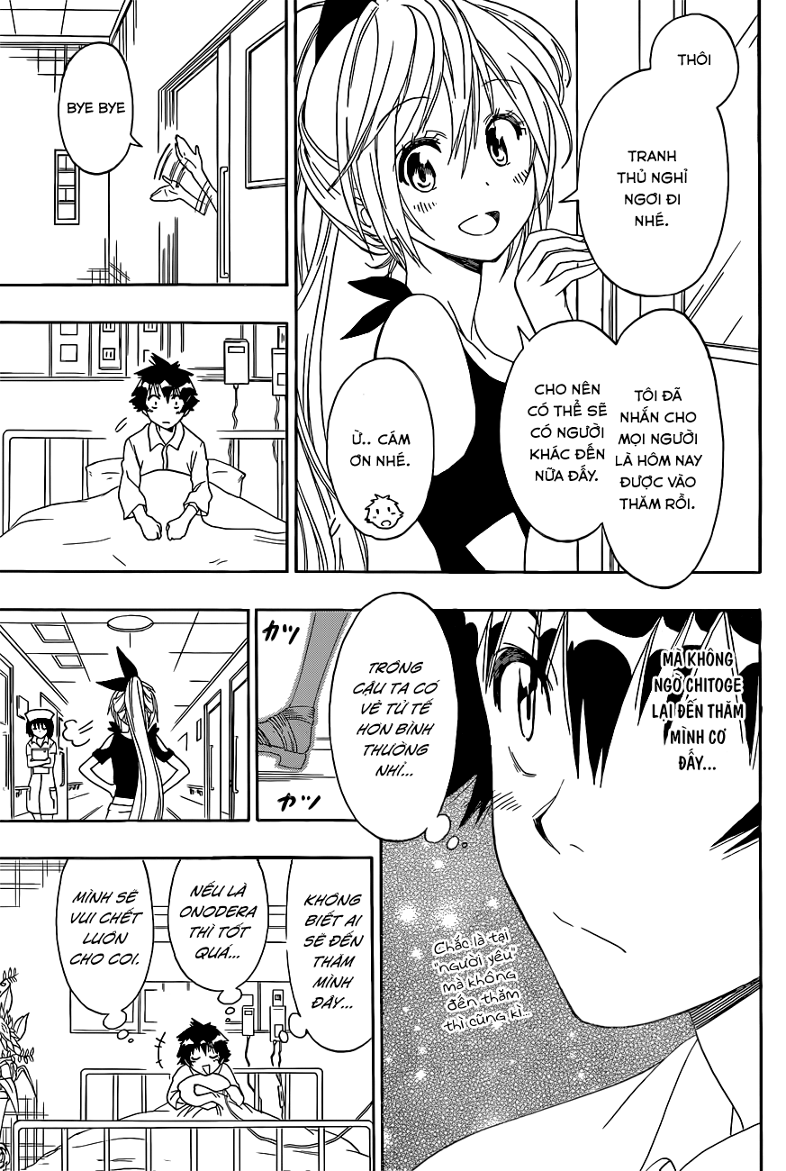 nisekoi - tình yêu giả tạo chapter 117 6