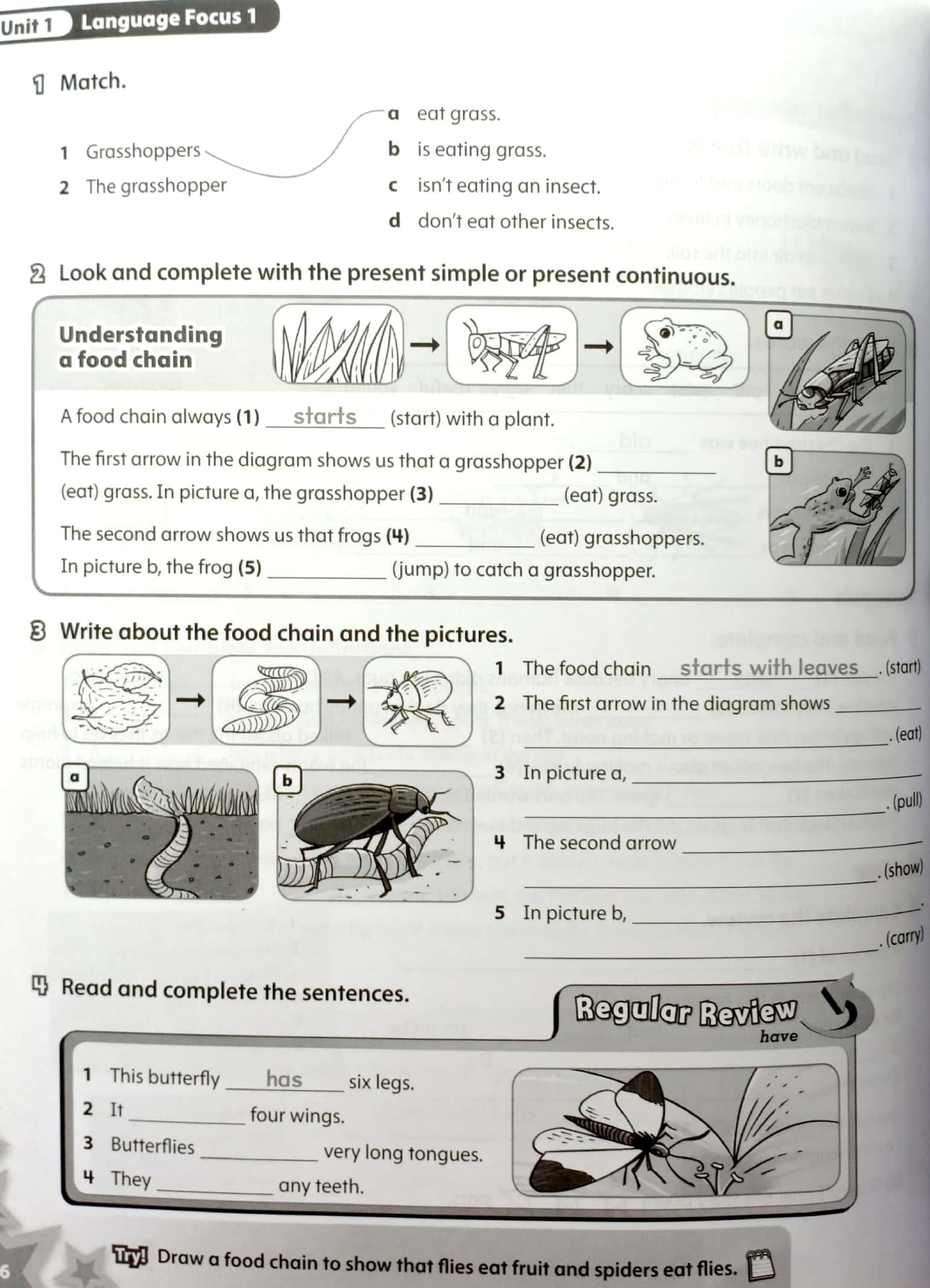 Starlight: Level 5: Workbook