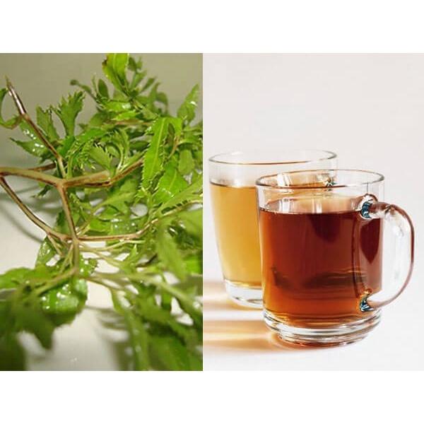 Trà đinh lăng túi lọc sadu Hỗ trợ chứng mất ngủ, ngủ ngon, sâu giấc 1 Hộp