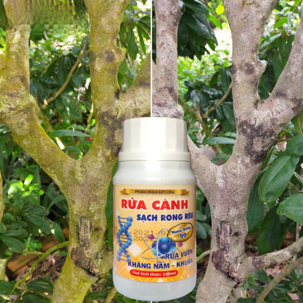 TẨY RONG RÊU RỬA CÀNH SÁT KHUẨN ,TẨY NẤM , RỬA VƯỜN - 100ml