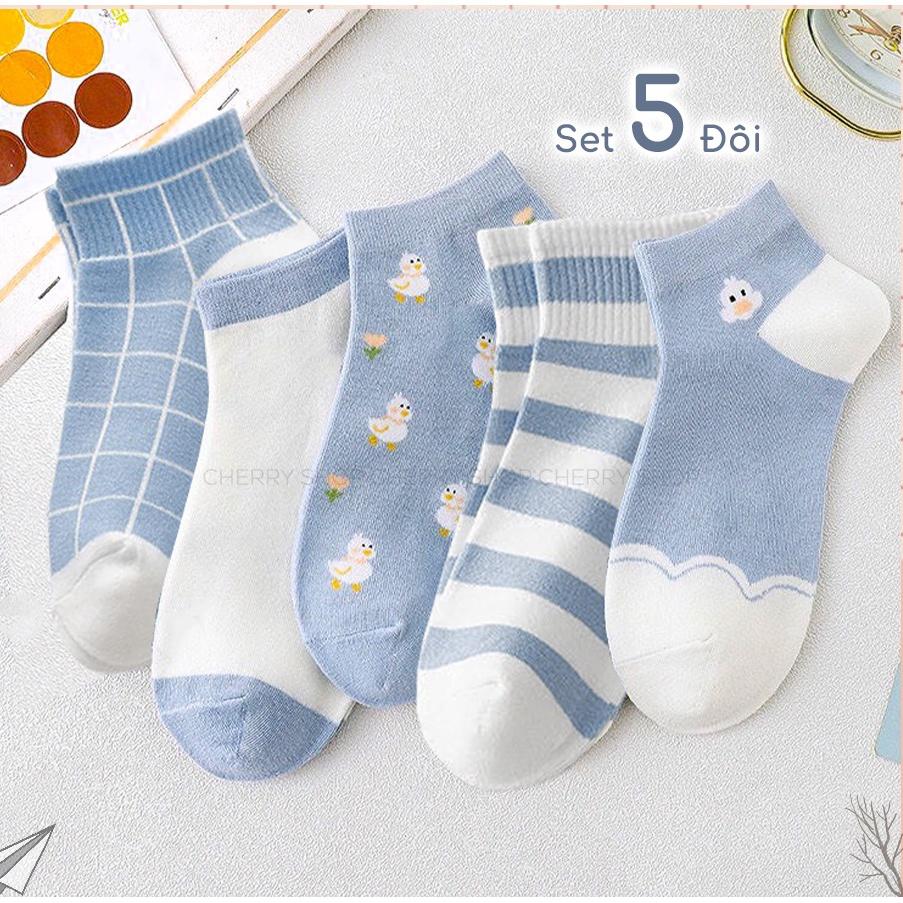 Tất nữ cổ ngắn Hàn Quốc cute set 5 đôi họa tiết hoạt hình chống trơn chống trượt 4018