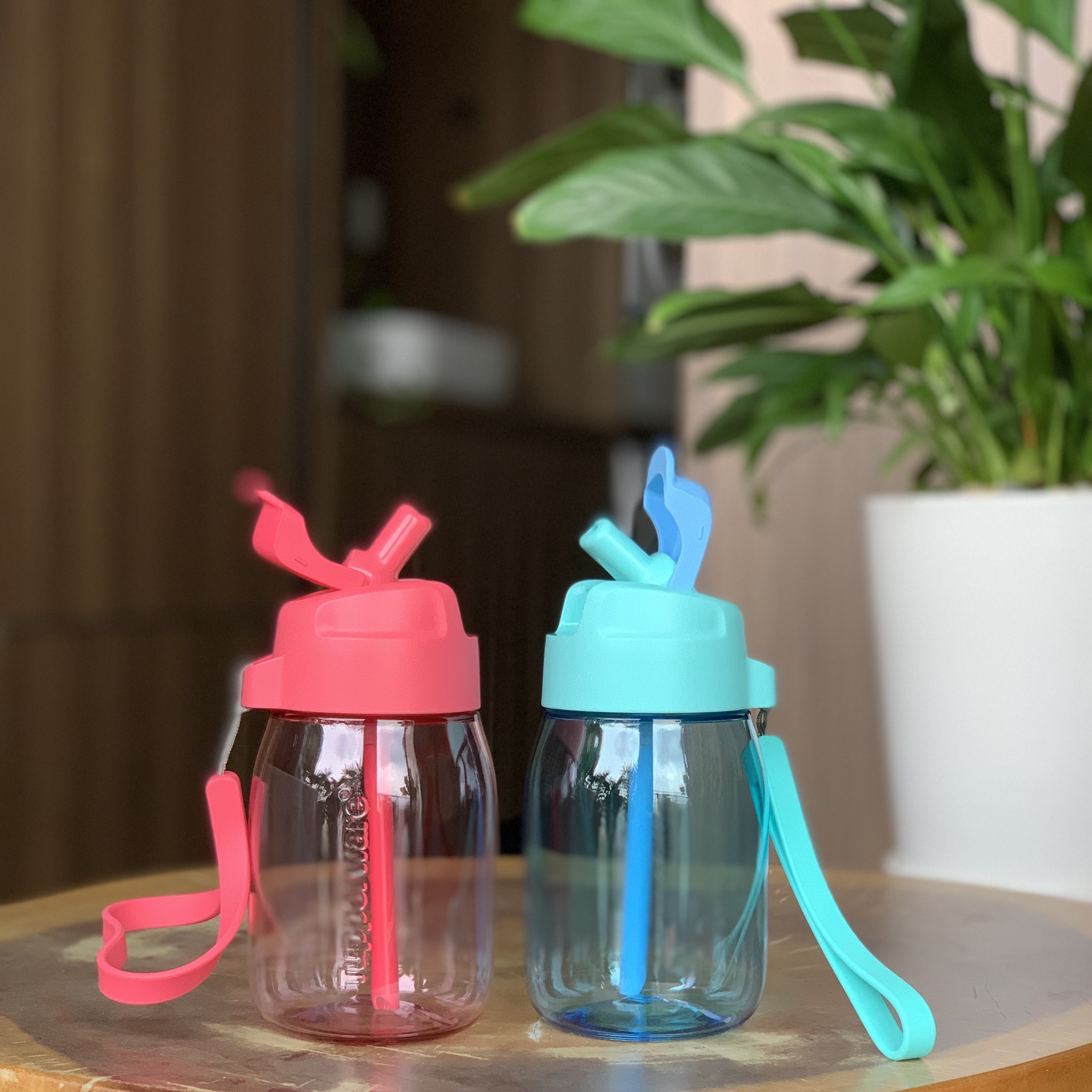 Bình nước ống hút Mini Lohas With Straw 350ml