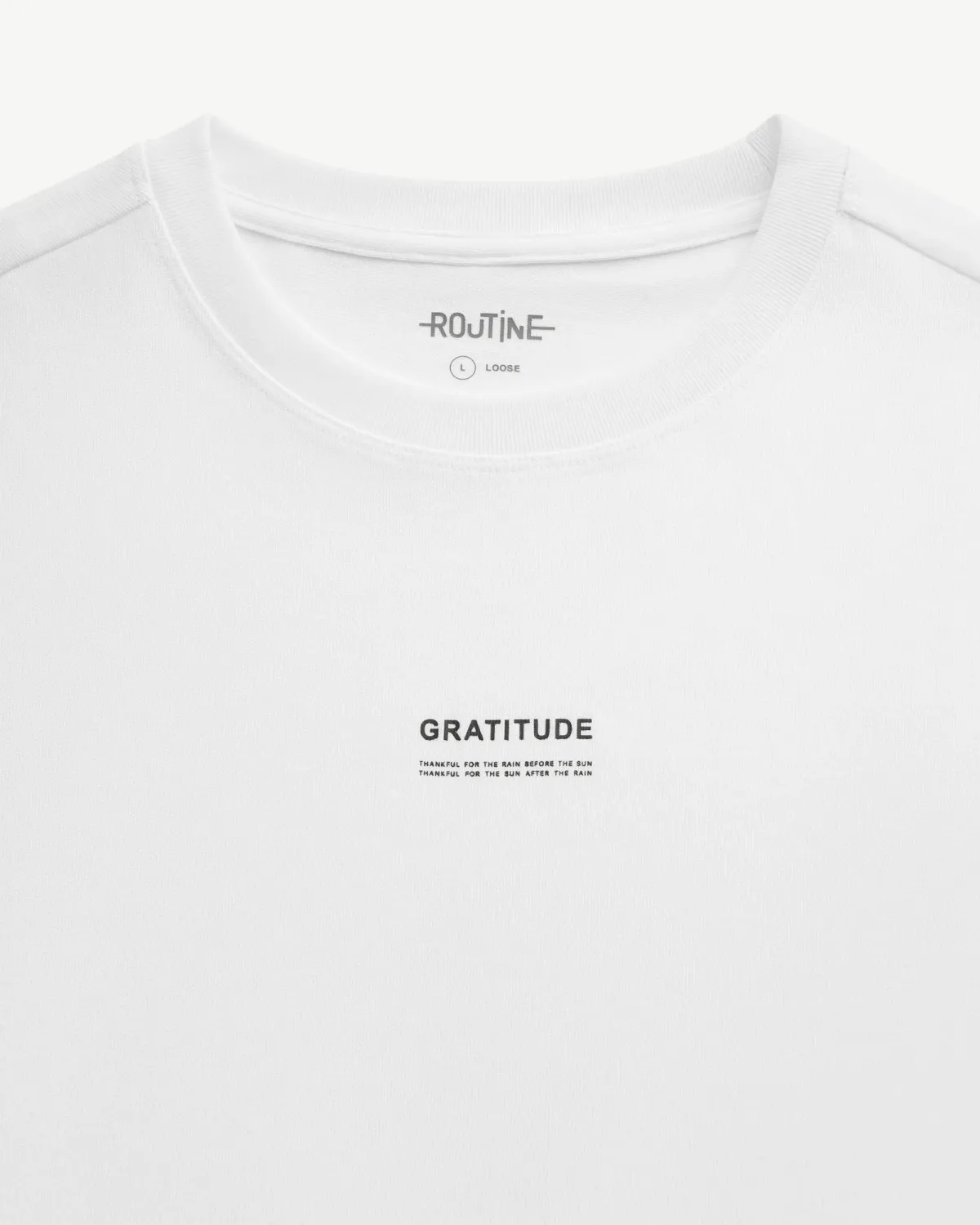 Áo thun nam ngắn tay hình in. Loose - RT 10F24TSS032R1 | ROUTINE CÀ MAU