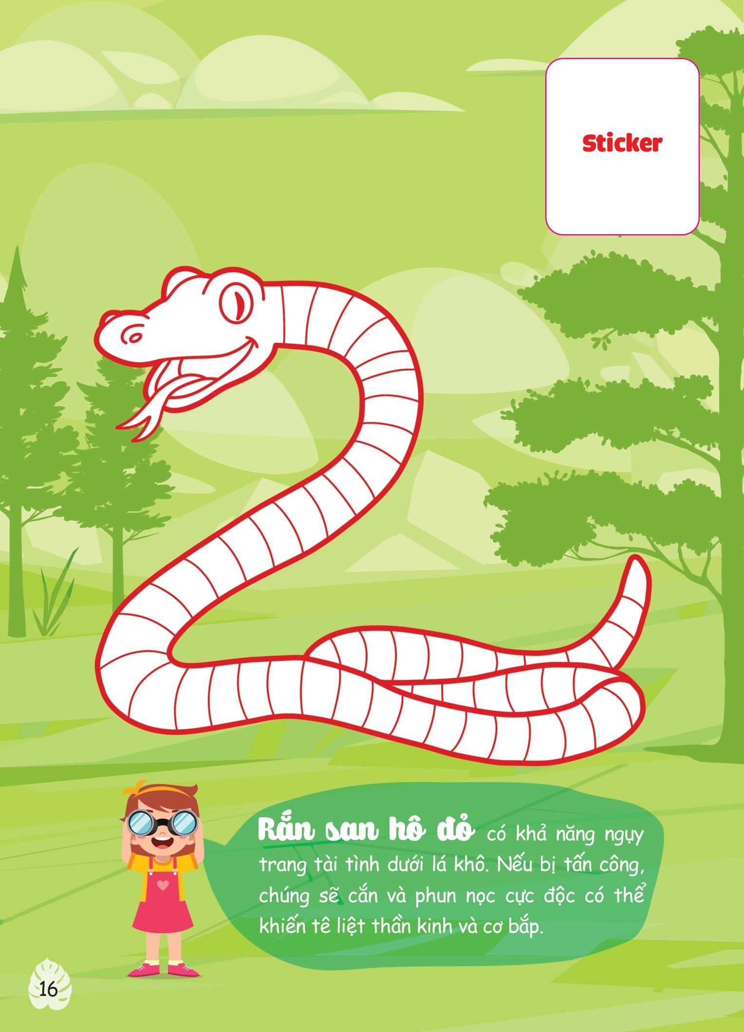 Con Tô Màu - Thám Hiểm Amazon