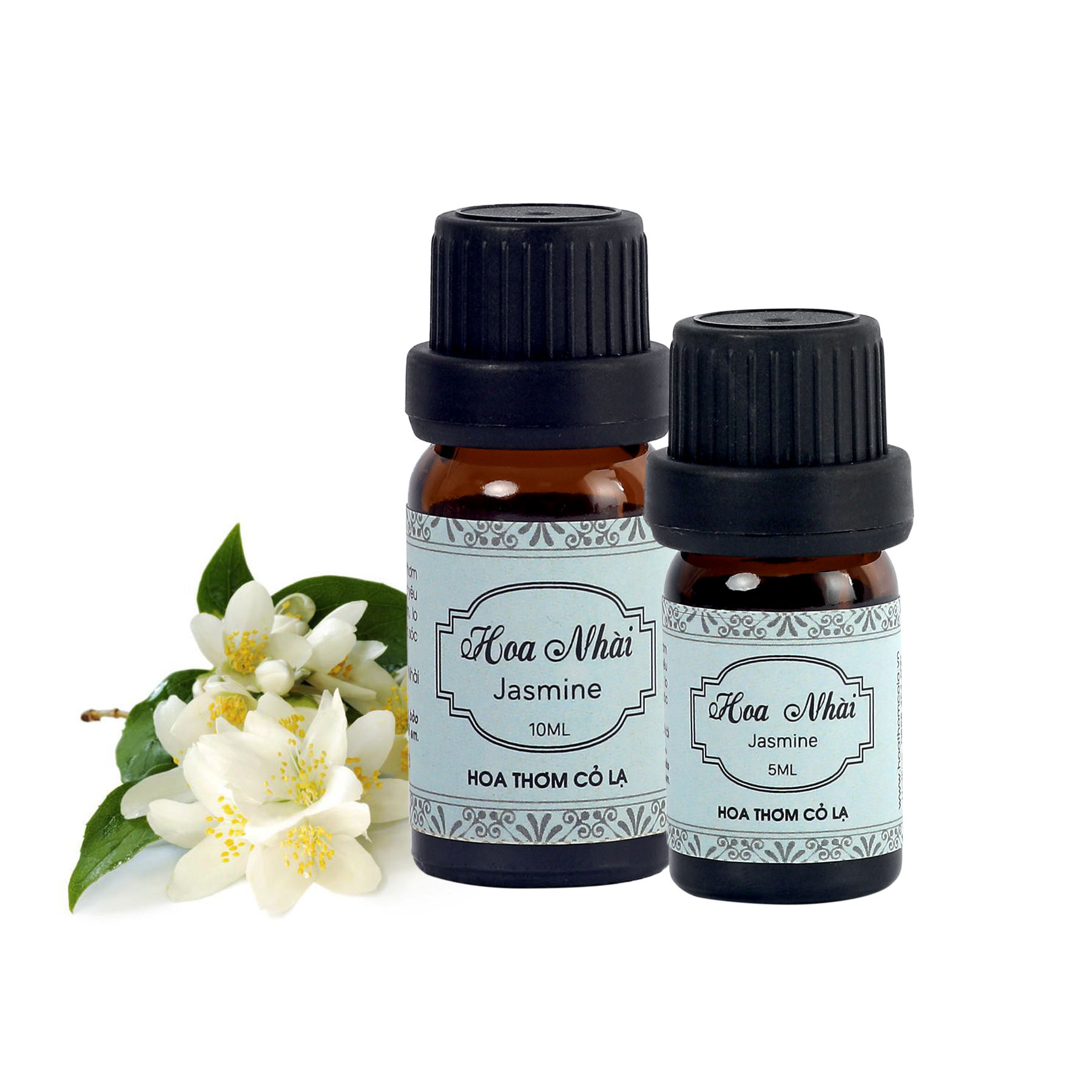 Tinh Dầu Hoa Nhài Cao Cấp (Absolute) - Jasmine Essential Oil 5ml - Hoa Thơm Cỏ Lạ