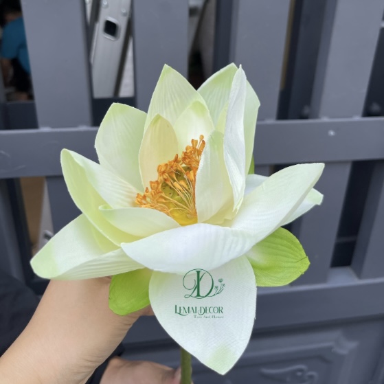 Hoa sen giả - Bông sen quan âm - dài 75cm - Cây giả, hoa lụa trang trí nhà cửa