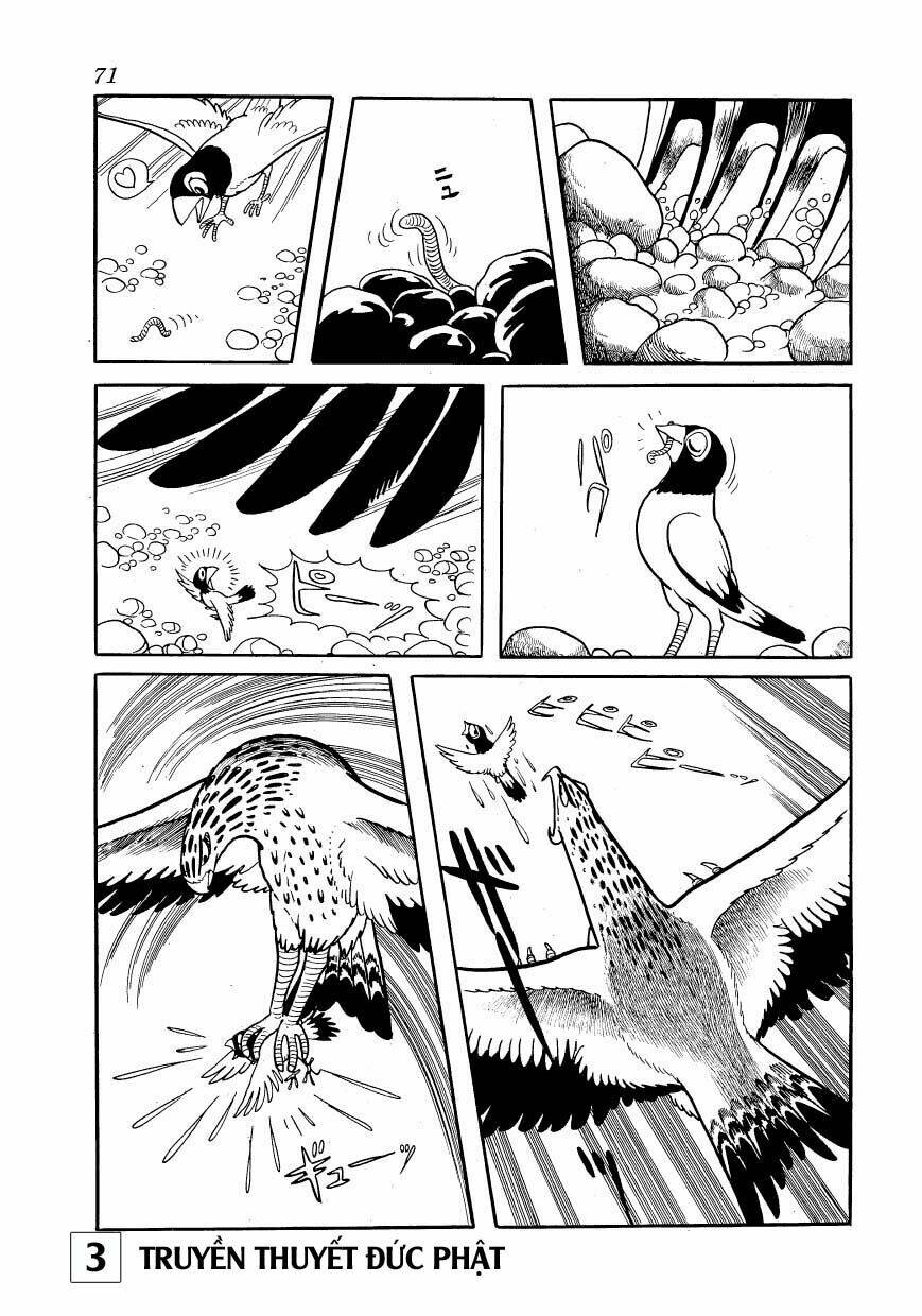 buddha - truyền thuyết đức phật chapter 14 24