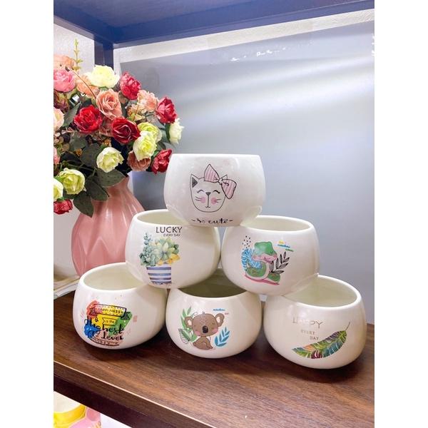 Chậu Hạt Dẻ Trồng Cây Cảnh MiNi Đủ 3 Size Sẵn Hàng