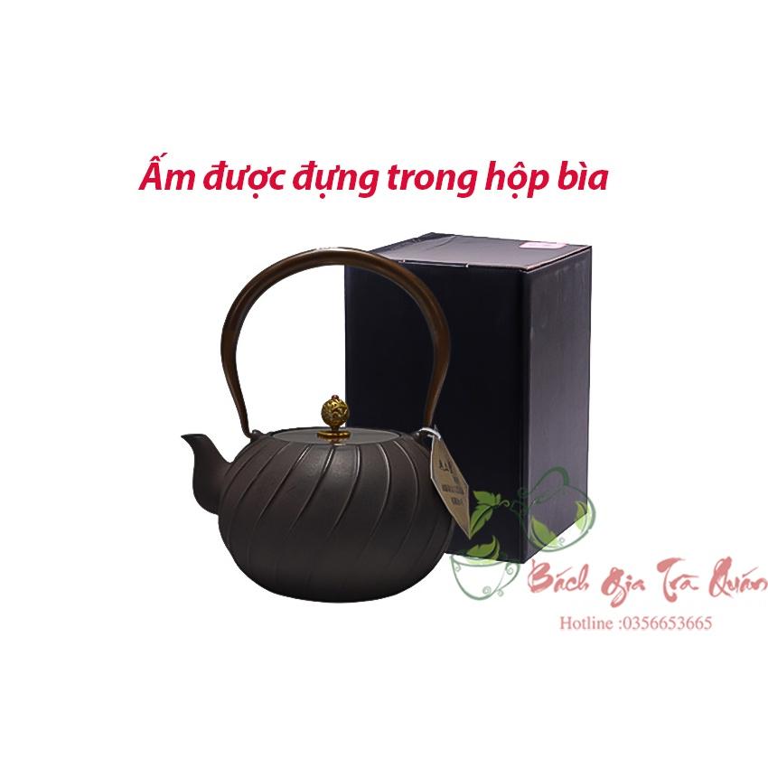 Ấm Gang Tetsubin - Đúc Thủ Công - Quai Đồng - Dung Tích 1200ml