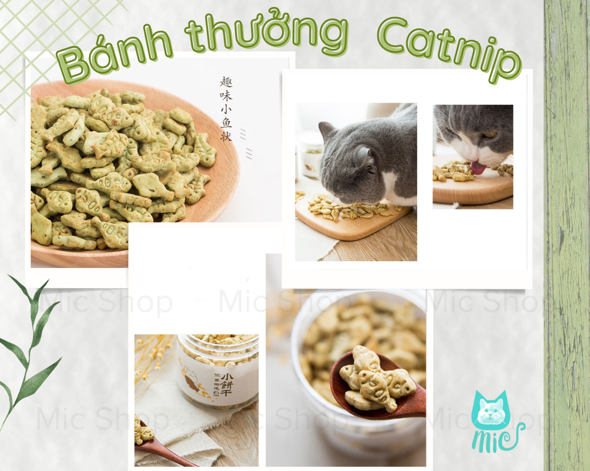 Bánh thưởng Catnip cho mèo