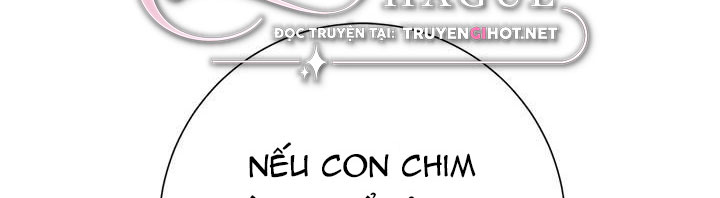công chúa của loài chim chapter 51.1 304