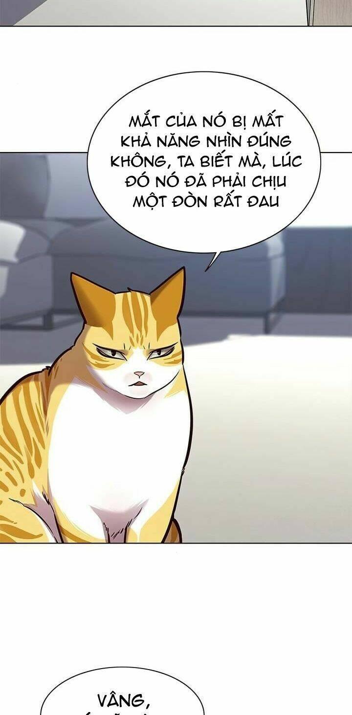 biến thân thành mèo chapter 165 47