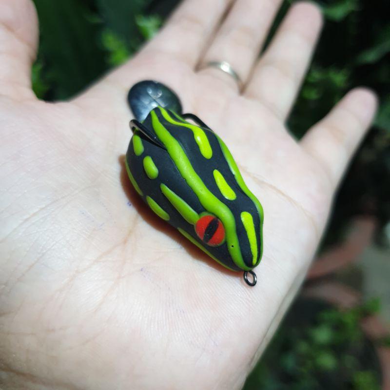 Nhái hơi Thái Lan Poison Frog / Chìm và nổi