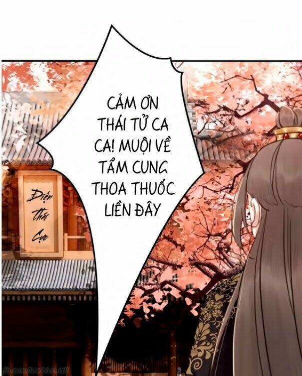 trọng sinh bá sủng nhiếp chính vương quá mạnh mẽ chapter 15 7