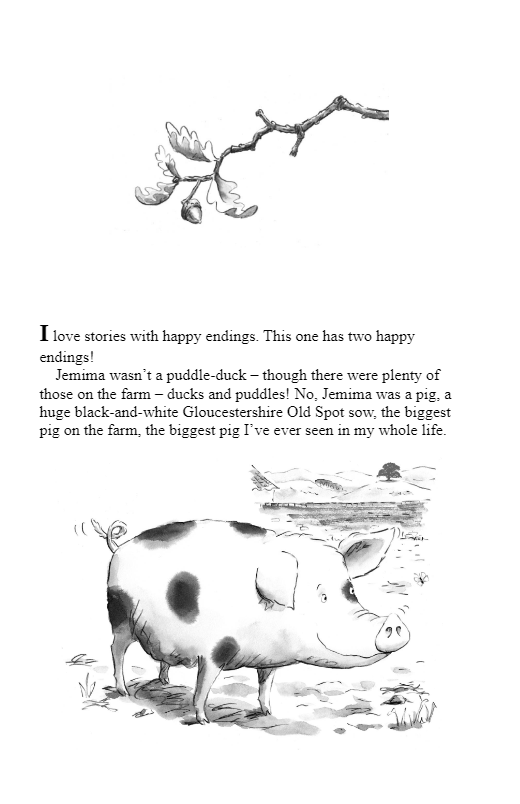 Jemima The Pig And The 127 Acorns