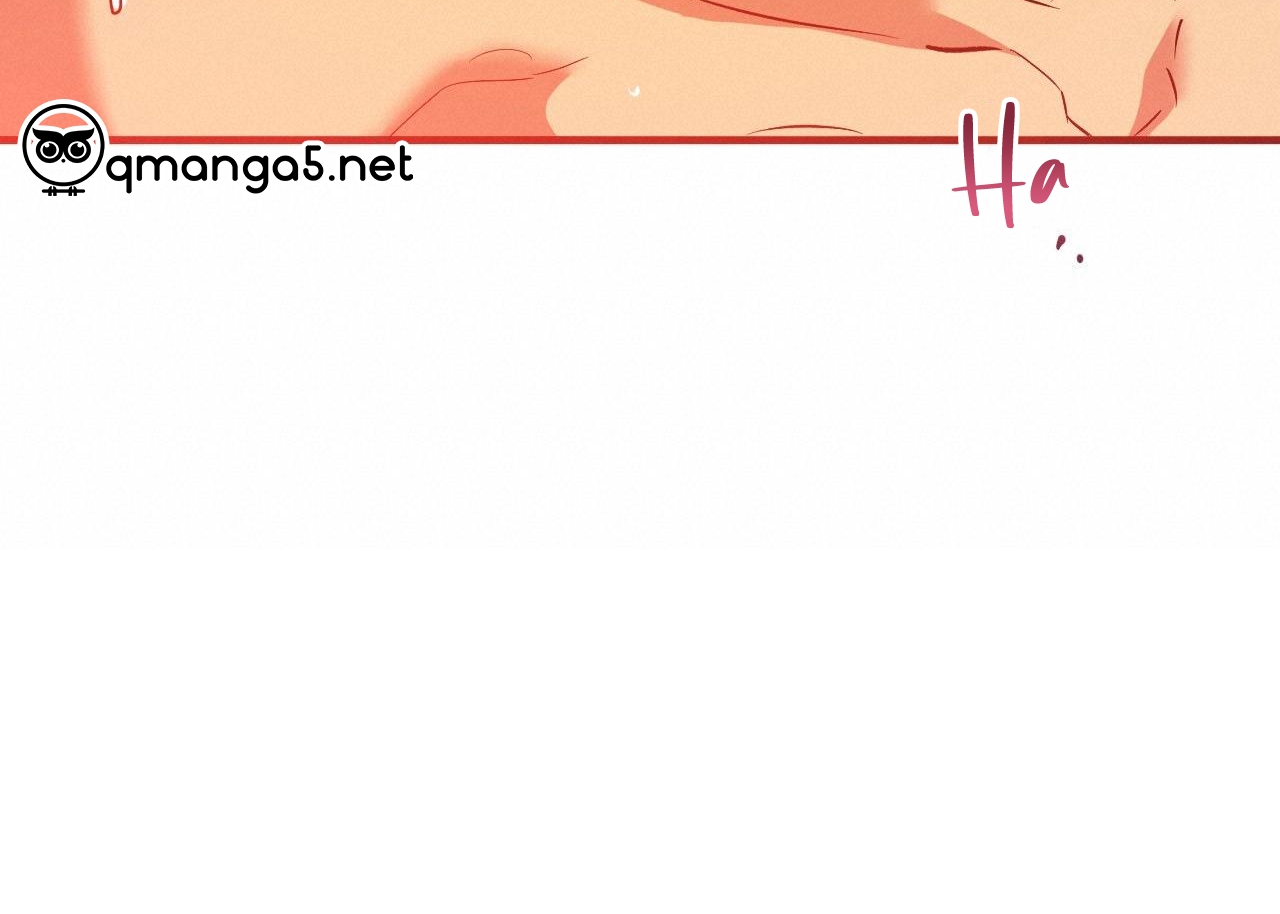 những chú thỏ của hapypy chapter 63 162