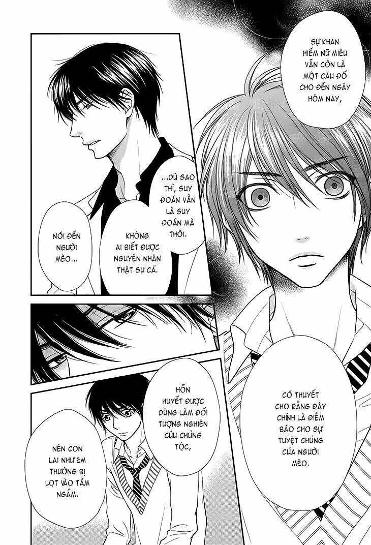 nekoka danshi no shitsukekata chapter 12 14