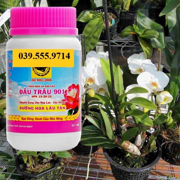 PHÂN BÓN ĐẦU TRÂU 901 100GRAM DƯỠNG HOA LÂU TÀN -  HÀNG CHUẨN