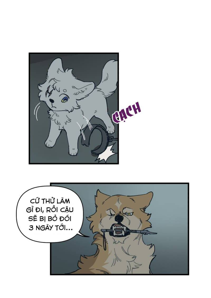lumine - cội nguồn ánh sáng chapter 141 16