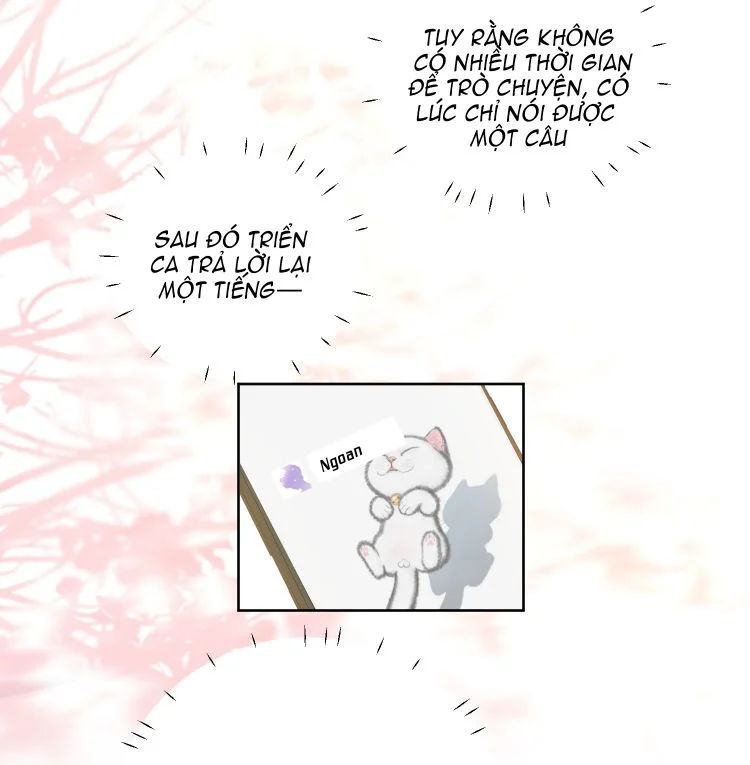 tôi bảo bạn cùng bàn đánh cậu chapter 71 23