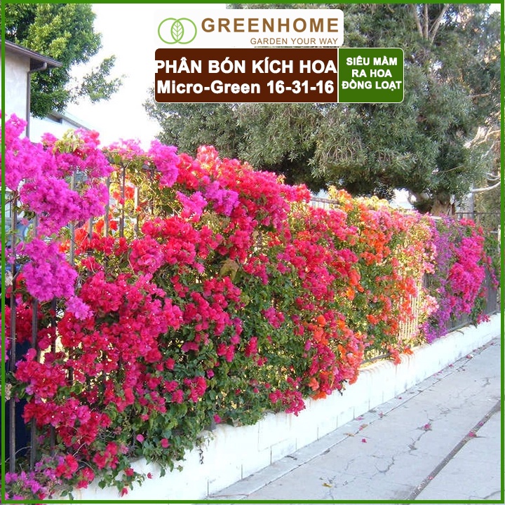 Phân Bón Ra Hoa, Greenhome, Micro Green, Gói 10gr, Tạo Mầm Hoa Cực Mạnh, Thúc Đẩy Ra Hoa Đồng Loạt, Hoa To, Lâu Tàn